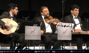 Musiker beim Konzert