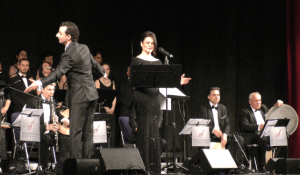 Sängerin im Konzert